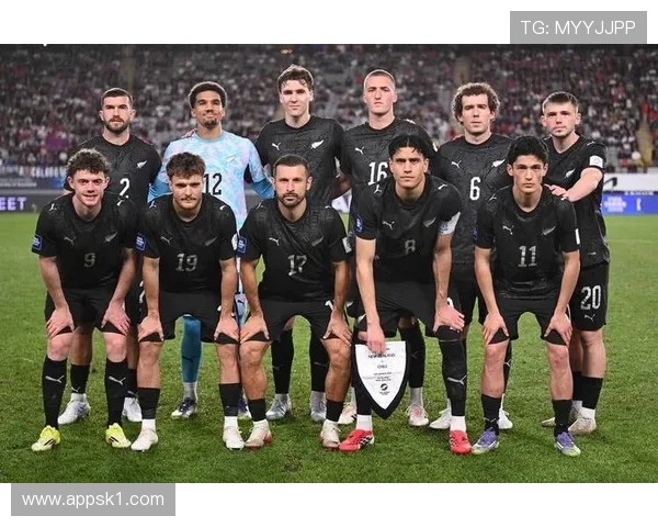 捷克冲击2026世界杯：预选赛前景与阵容分析